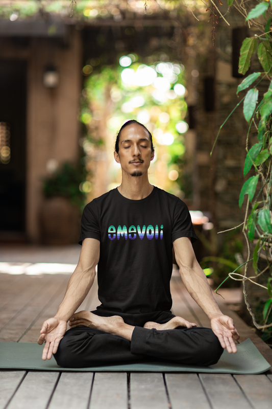 emevoli | Gay Men's Flag Colors | Unisex t-shirt